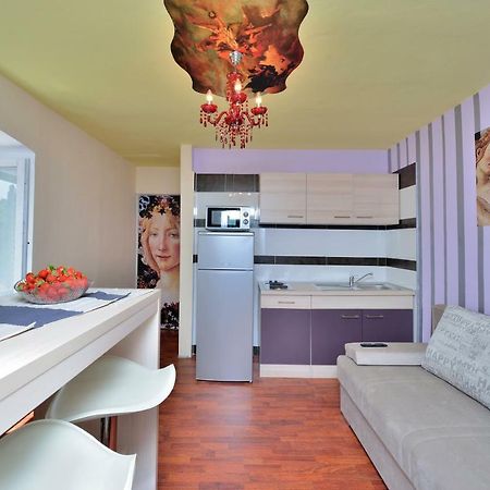Apartments Carpe Diem Novigrad  Dış mekan fotoğraf