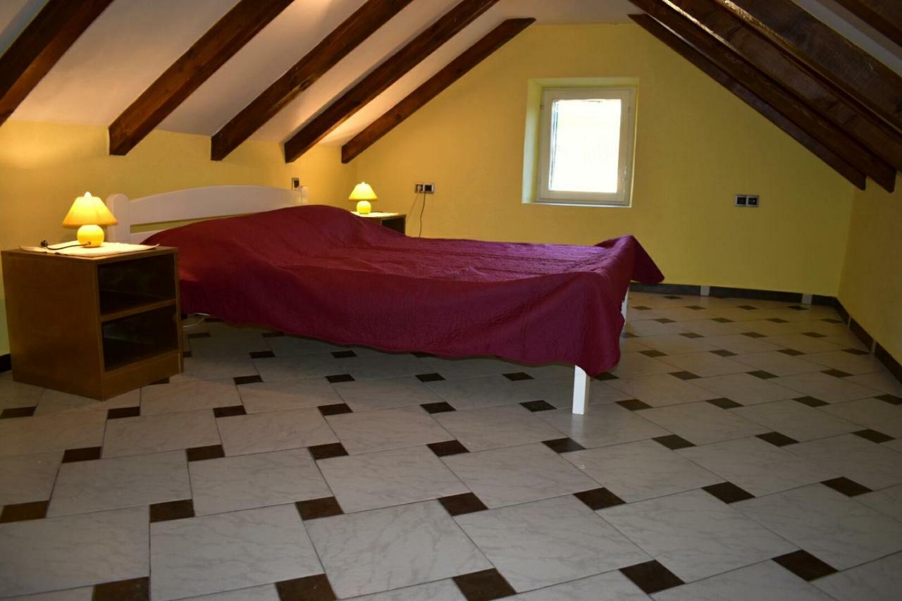 Apartments Carpe Diem Novigrad  Dış mekan fotoğraf