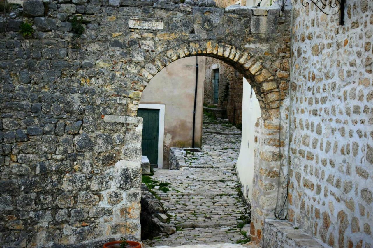 Apartments Carpe Diem Novigrad  Dış mekan fotoğraf