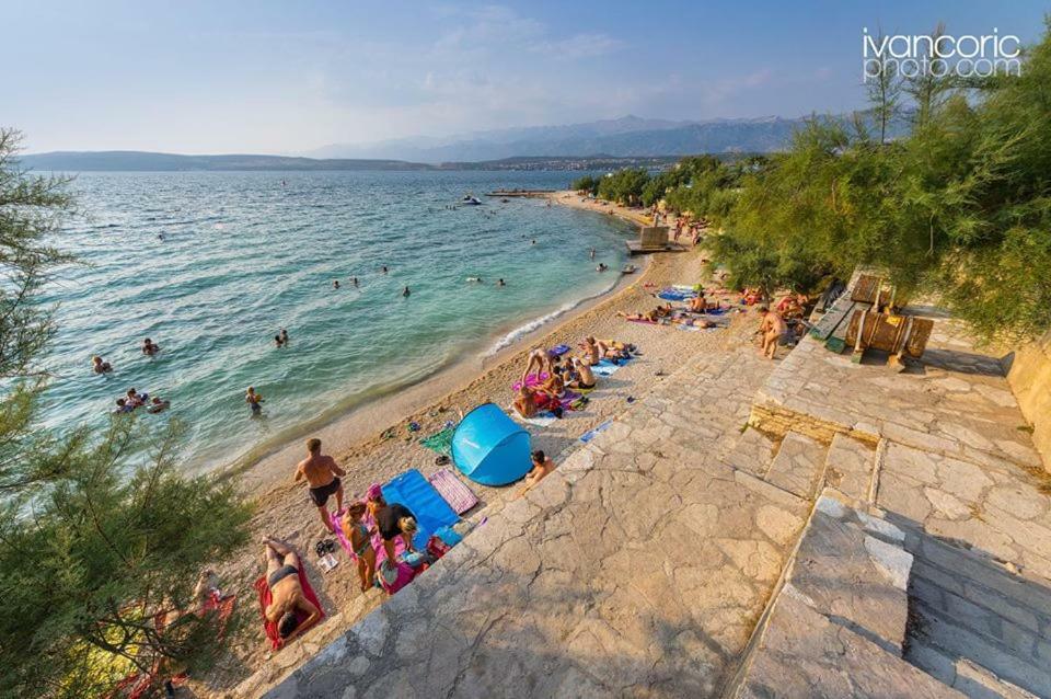 Apartments Carpe Diem Novigrad  Dış mekan fotoğraf