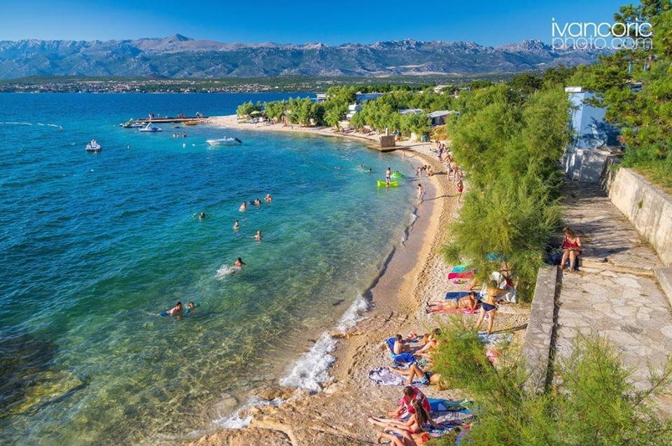Apartments Carpe Diem Novigrad  Dış mekan fotoğraf